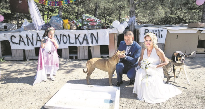 Turkish couple marries at street animal shelter